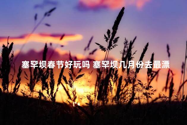 塞罕坝春节好玩吗 塞罕坝几月份去最漂亮